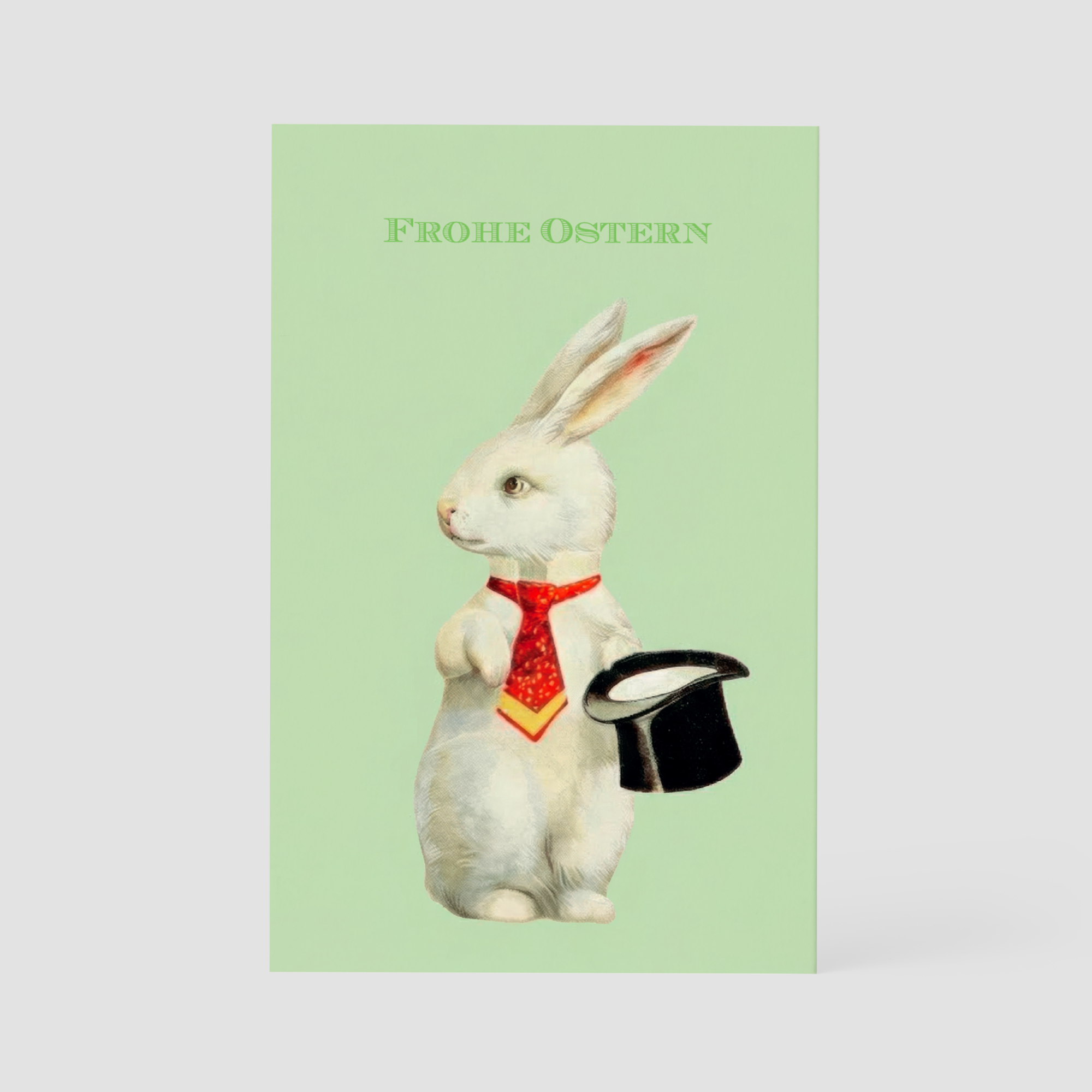 Rabbit
